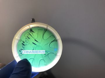 Bon prix 2 type lingots de gaufrette de carbure de silicium de POUCE 6H-N des gaufrettes sic en cristal 330um de MPD 50cm en ligne