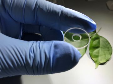 Bon prix Composants de saphir de résistance à la corrosion soutenant la garniture avec la tolérance ±0.03mm de trou en ligne